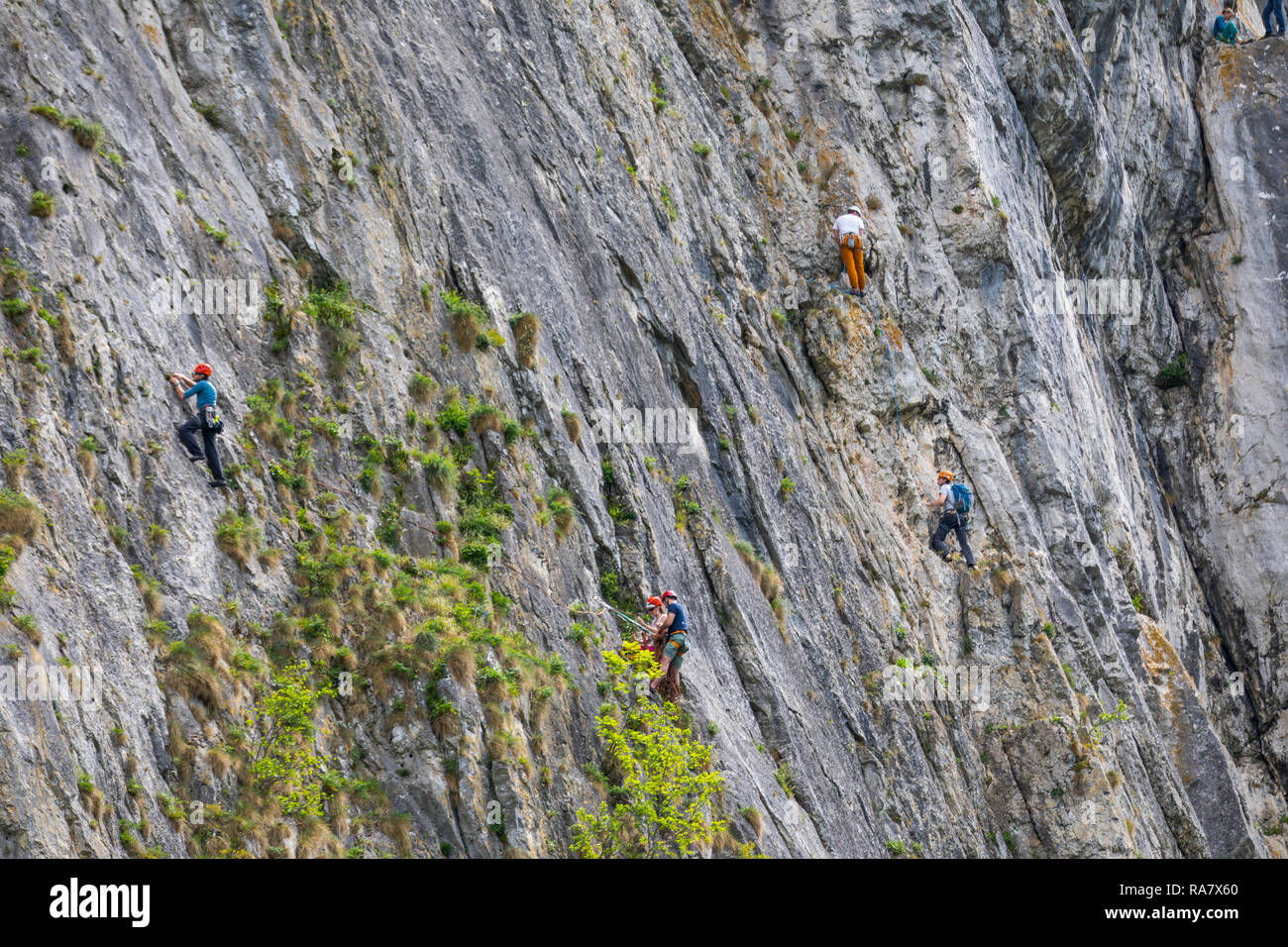 Scalatore in una parete di montagna, sopra il fiume Maas, in Belgio, in Vallonia, vicino Chenet, Foto Stock