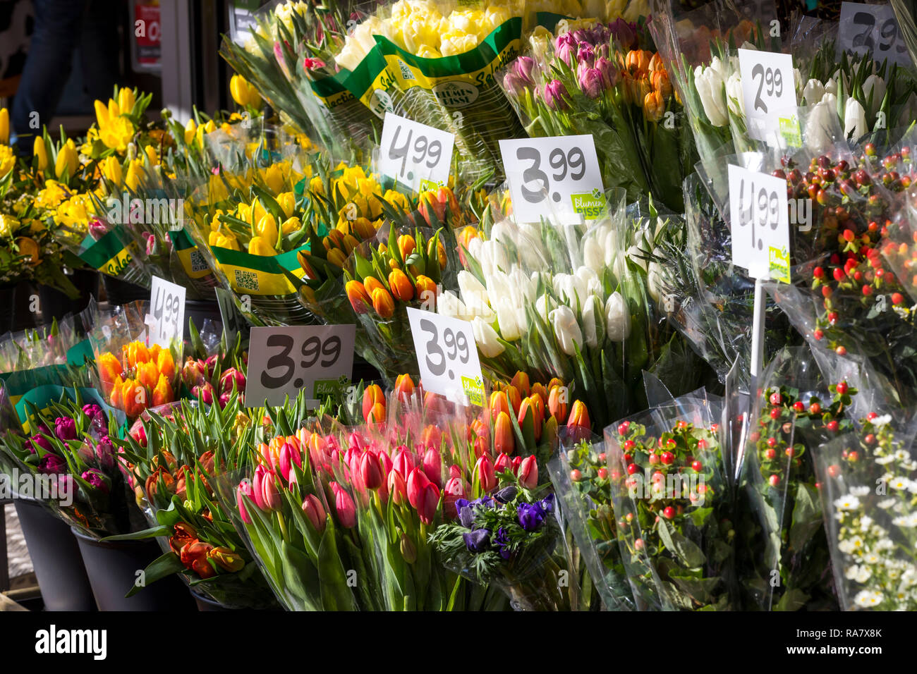 Fioraio, vari tipi di fiori recisi, Foto Stock