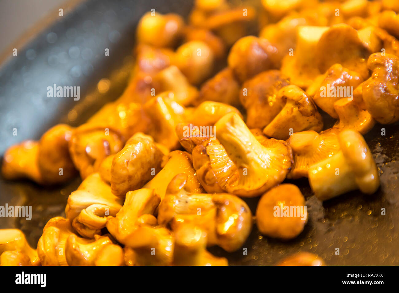 I finferli sono fritto in padella, Foto Stock