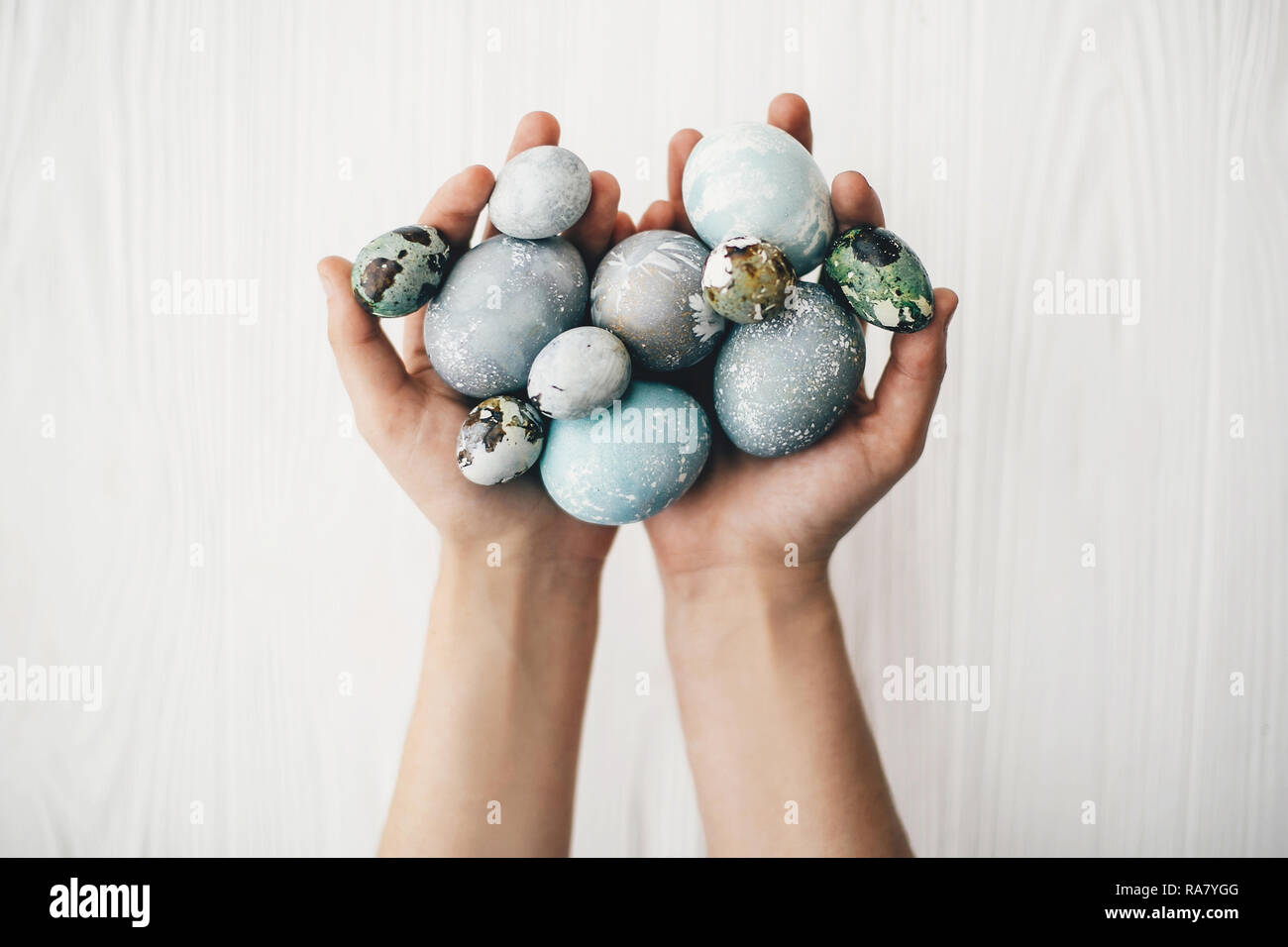 Elegante di uova di pasqua in mani femminili in bianco sullo sfondo di legno. Mani moderno uova pasquali dipinte con colorante naturale in grigio e blu colo in marmo Foto Stock