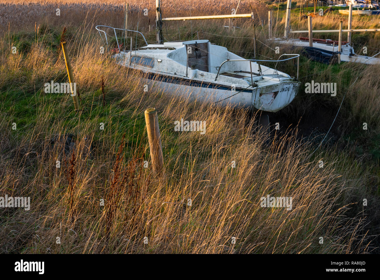 Barche in canne a Wardleys Creek vicino Hambleton in Lancashire Foto Stock