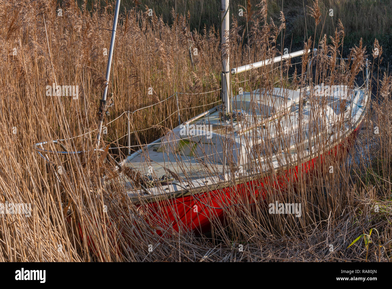 Barche in canne a Wardleys Creek vicino Hambleton in Lancashire Foto Stock