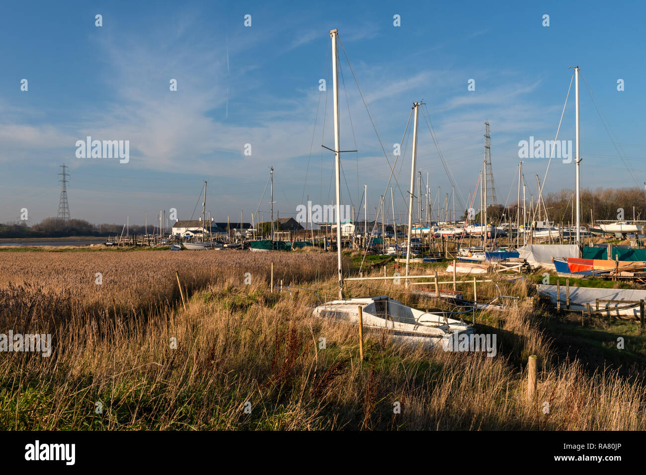 Barche in canne a Wardleys Creek vicino Hambleton in Lancashire Foto Stock