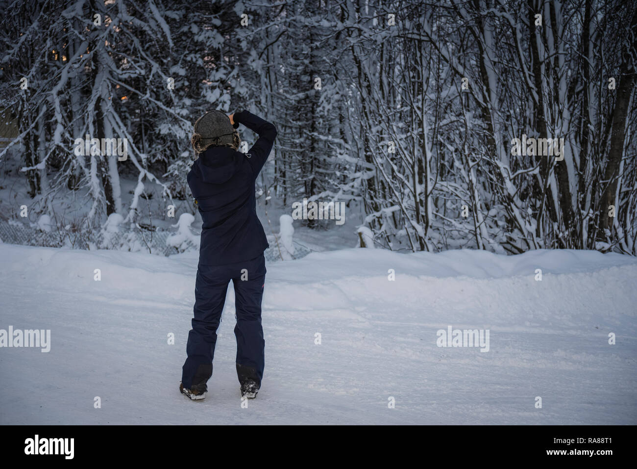 Fotografo femmina la cattura di neve in inverno a Finnsnes, Norvegia. Foto Stock