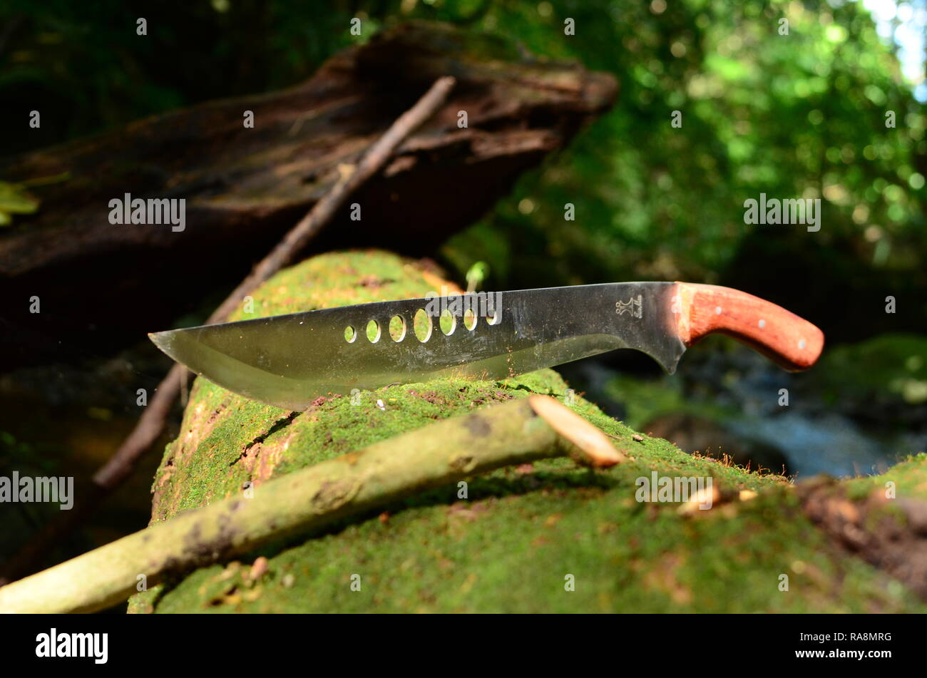 Machete coltello Foto Stock