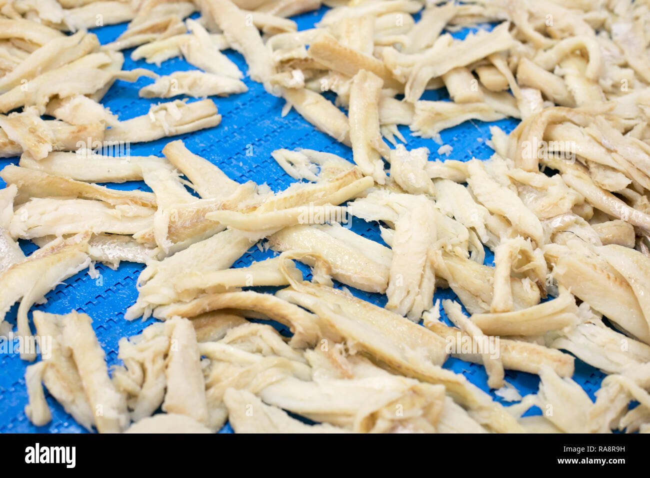 Tradizionale e salati merluzzo essiccato a Riberalves un importante produttore di entrambi congelati e i tradizionali cod(bacalhau), a moita, Portogallo. Foto Stock