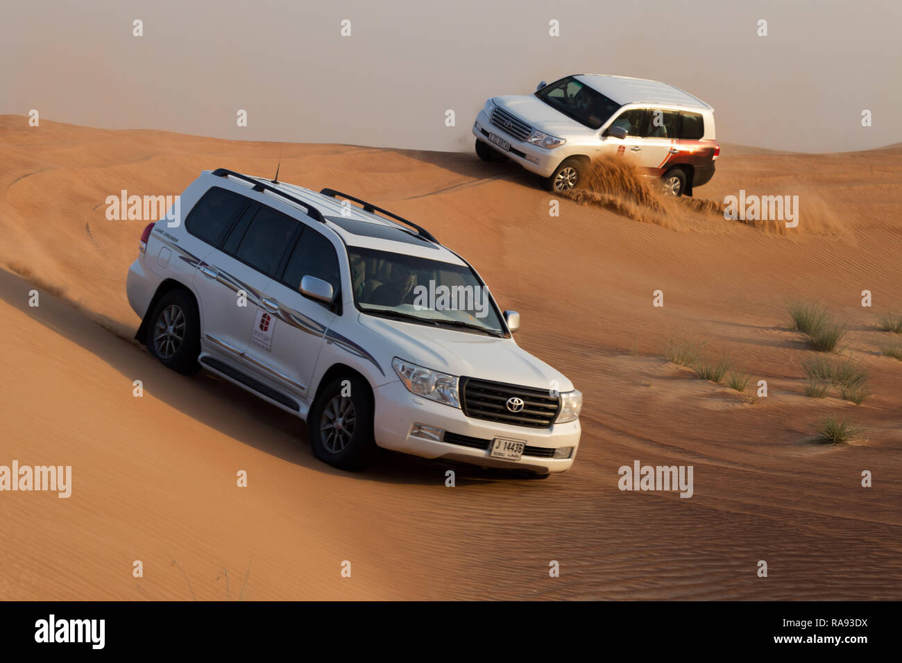 Un safari in jeep tra le dune del deserto alla periferia di Dubai, negli Emirati Arabi Uniti. Foto Stock