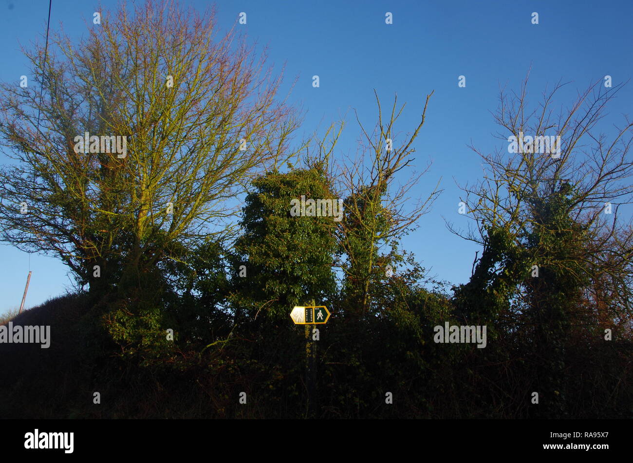 Slaughterford. La Macmillan modo. A lunga distanza trail. Wiltshire. In Inghilterra. Regno Unito Foto Stock