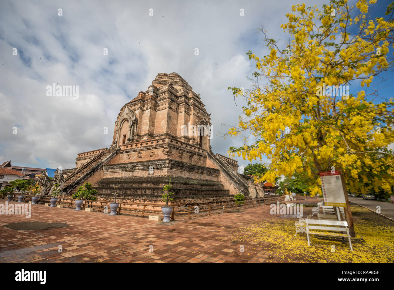 Wat Chedi Luang in Chiang Mai Foto Stock