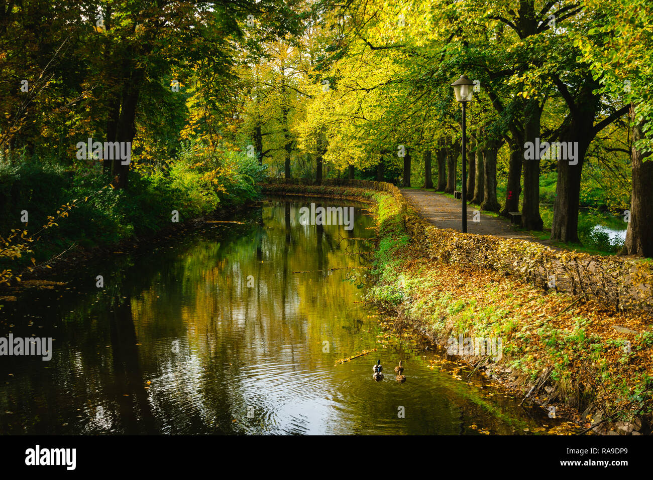 Un autunno verde parco vicino a un fiume da qualche parte in Europa. Foto Stock