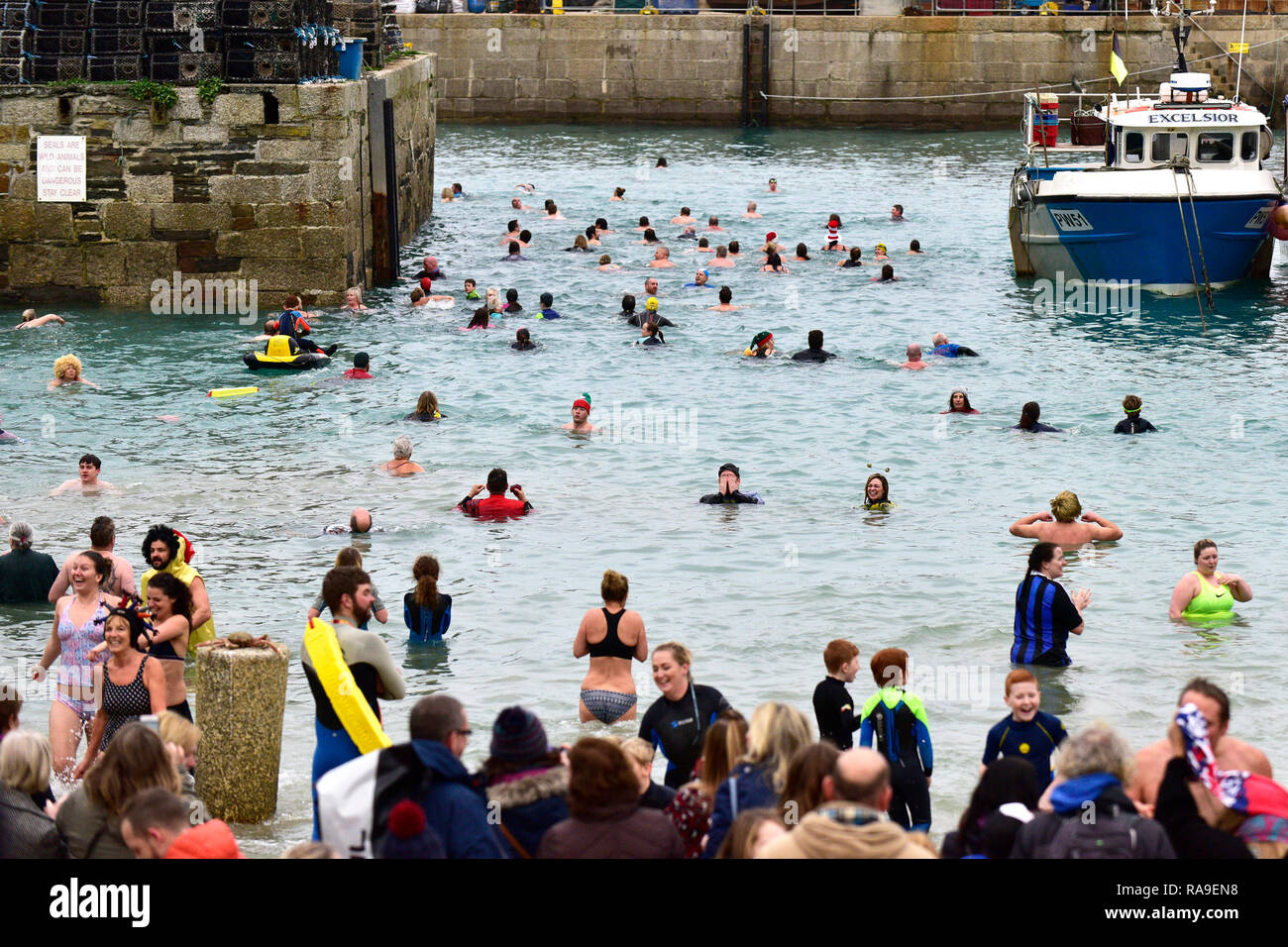Nuotatori e gli spettatori presso il giorno di nuovi anni Dip in Newquay Harbour Porto di Newquay in Cornovaglia. Foto Stock