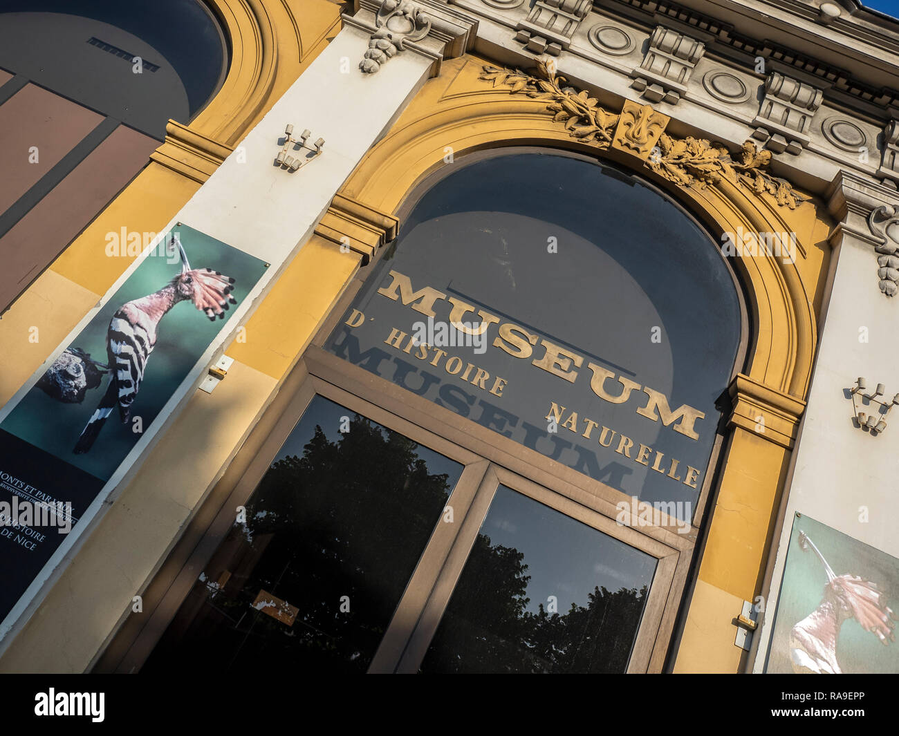 NIZZA, FRANCIA - 25 MAGGIO 2018: Museo di Storia Naturale (Museum d'Histoire Naturelle) Foto Stock