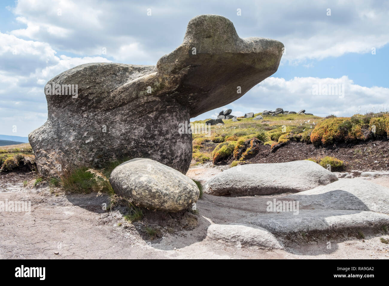Weathered gritstone producendo una forma singolare di roccia erosa sul margine meridionale della Kinder Scout, Derbyshire, Peak District, England, Regno Unito Foto Stock
