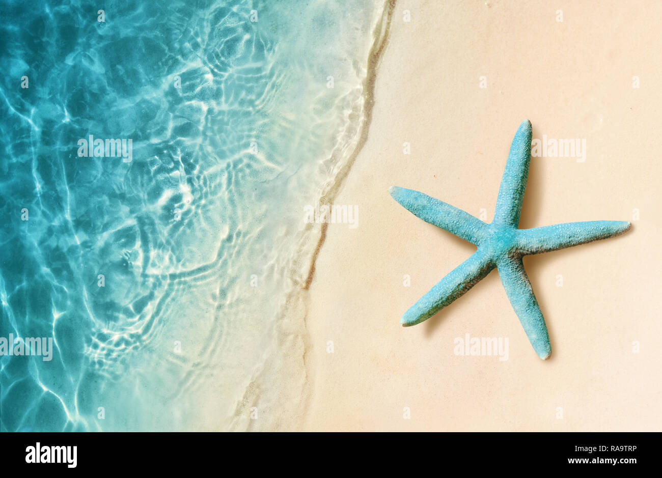 Stella di mare sulla spiaggia di sabbia e il mare come sfondo. Summer Beach Foto Stock