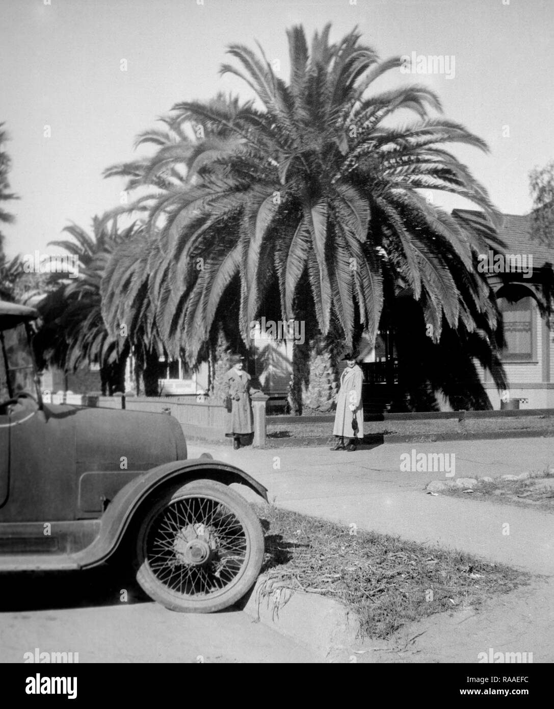 Due donne sostare sotto un enorme albero di palme nel cortile anteriore di un California home, ca. 1925. Foto Stock