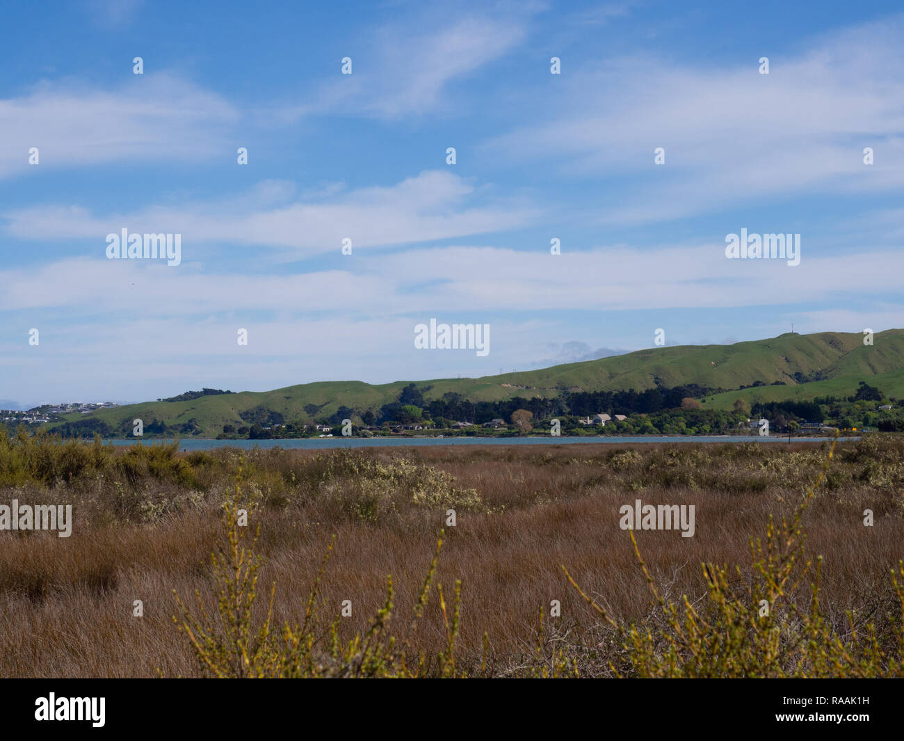 Il paesaggio della riserva naturale di Pauatahanui con paludi costiere, paludi erbose e colline verdi ondulate sotto un cielo blu brillante Foto Stock