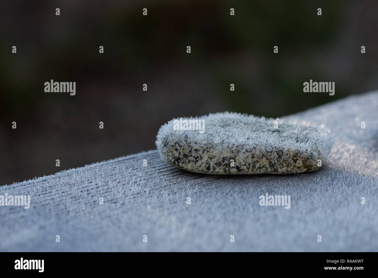 Coperto di brina rock. Foto Stock