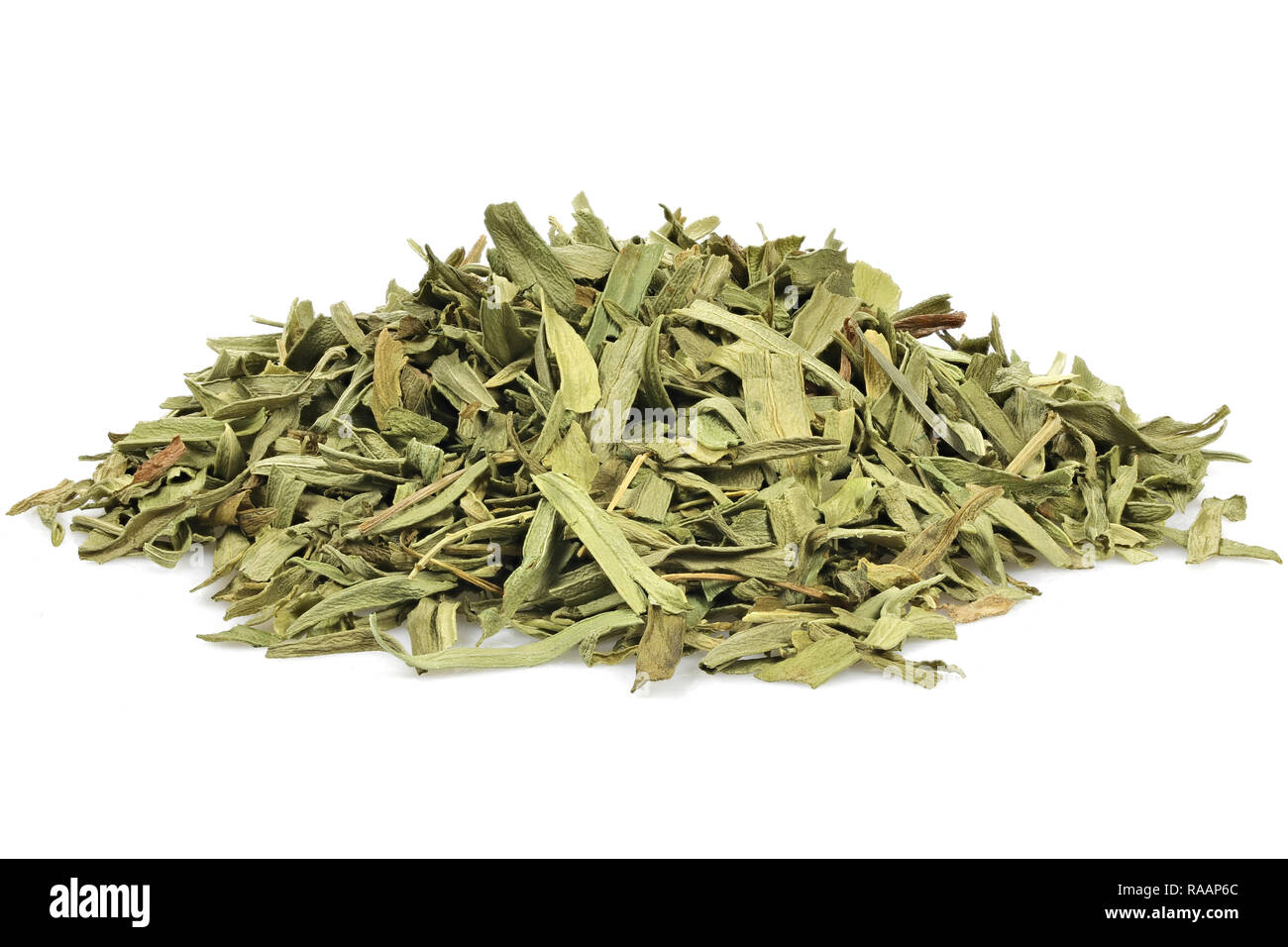 Dragoncello francese isolati su sfondo bianco Foto Stock