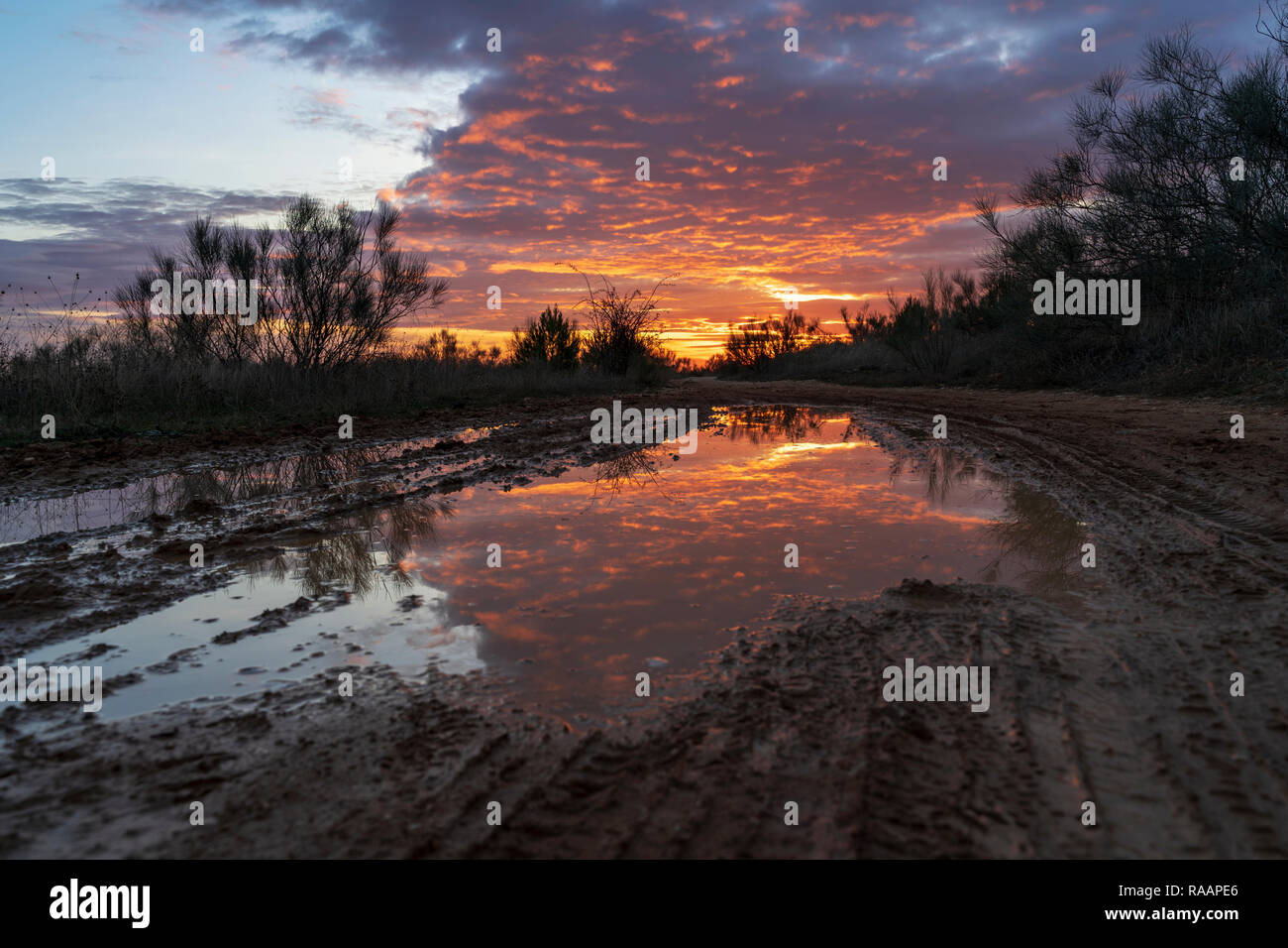 Tramonto riflesso su una pozza di un percorso nel campo, con arancione, giallo e blu in inverno. Los Santos de la Humosa, Madrid, Spagna. Foto Stock