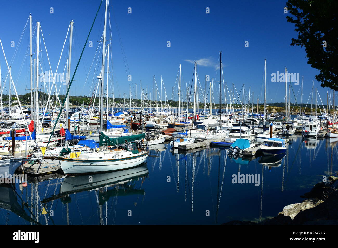 Barche al porto turistico di Victoria BC, Canada Foto Stock