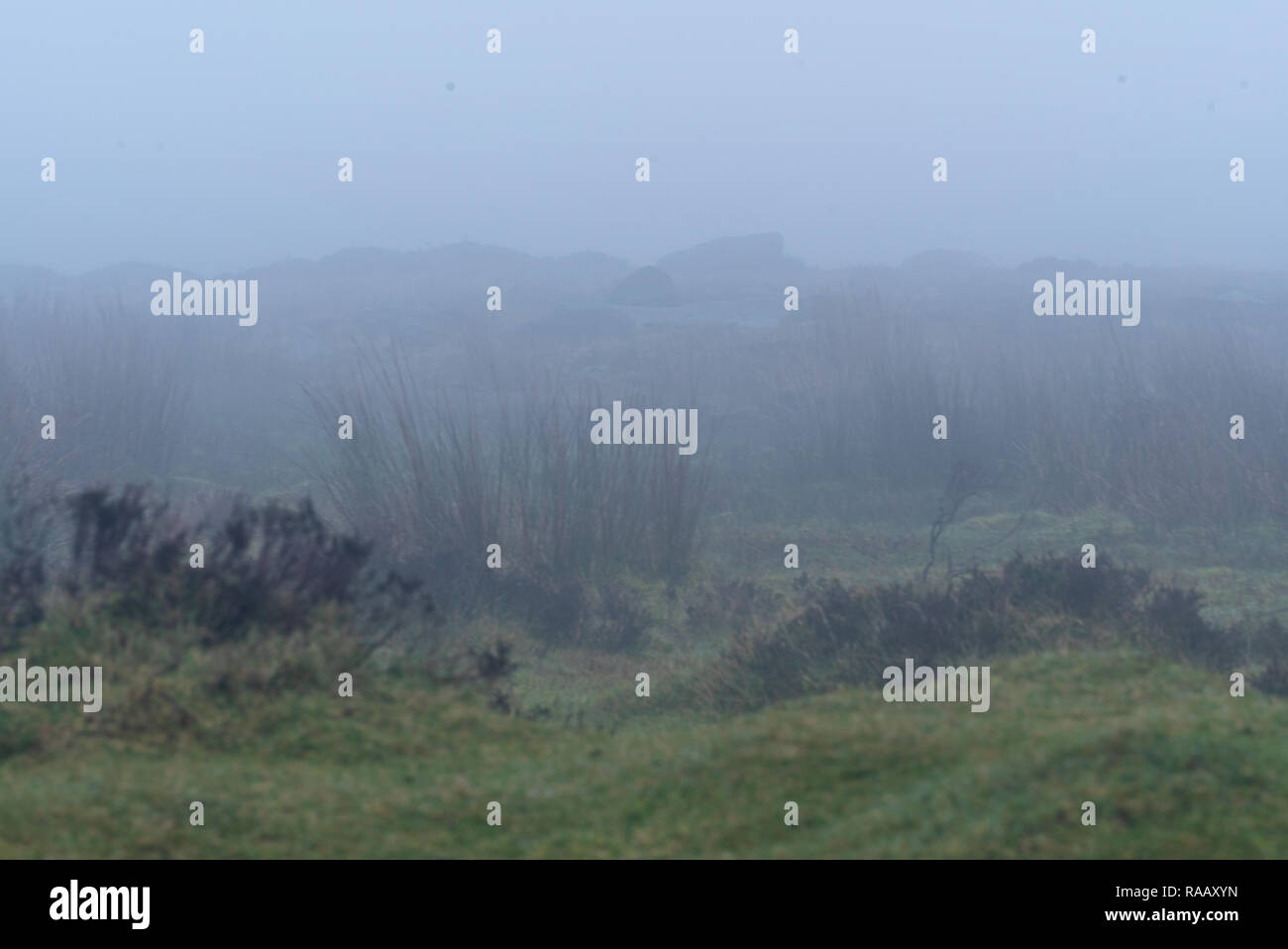 Pembrokeshire Coast National Park in inverno il paesaggio di nebbia Foto Stock