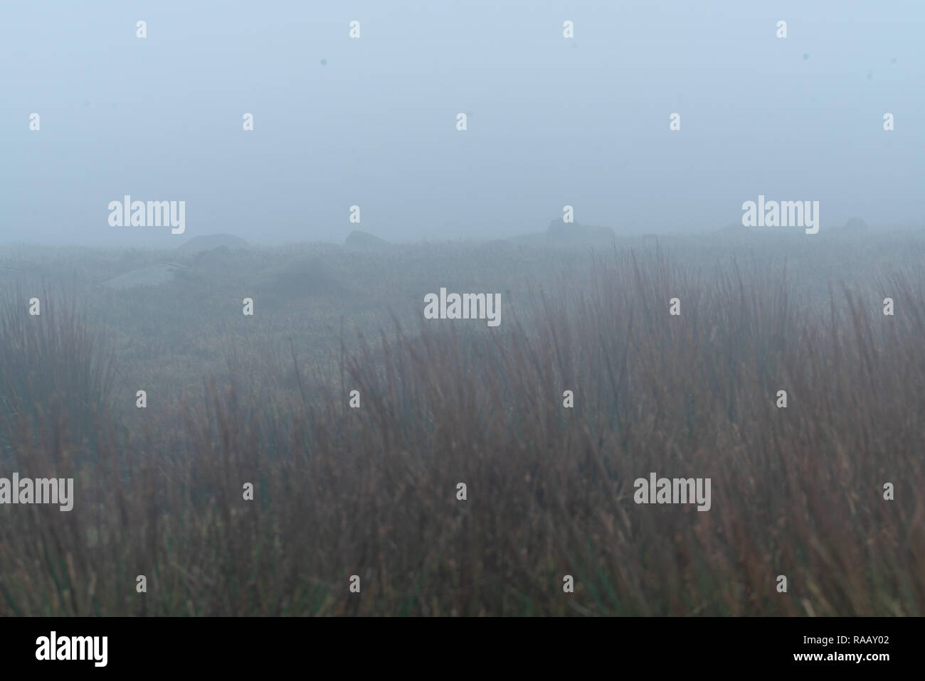 Pembrokeshire Coast National Park in inverno il paesaggio di nebbia Foto Stock