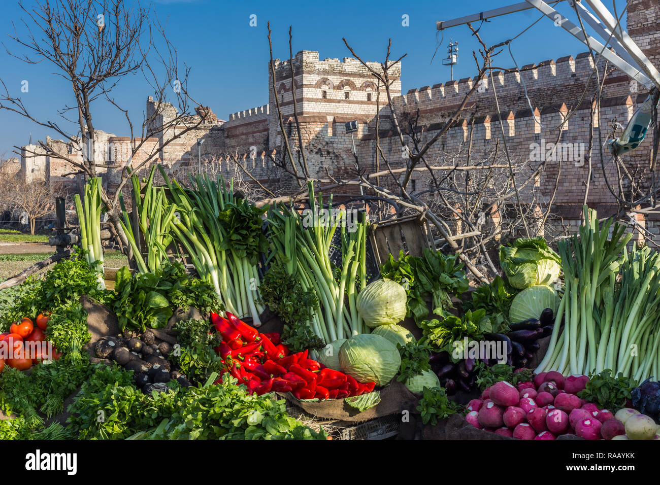 Verdure per la vendita, coltivate nei giardini di quello che una volta era il fossato che circonda le mura della vecchia città di Costantinopoli. Foto Stock