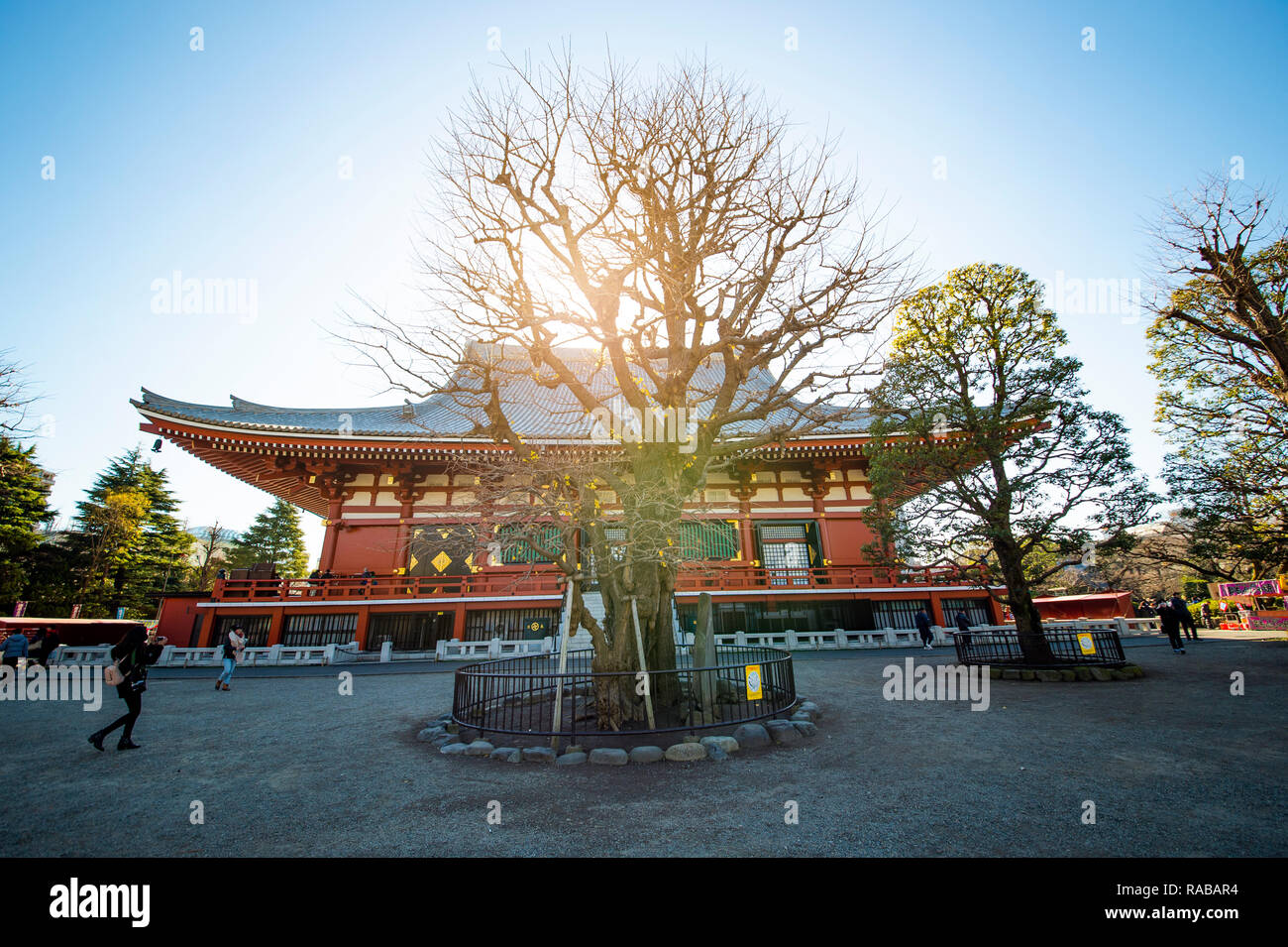 Vista spettacolare del Tempio Toji in Kyoto. Tempio Toji è un tempio buddista della setta Shingon a Kyoto, in Giappone. Foto Stock