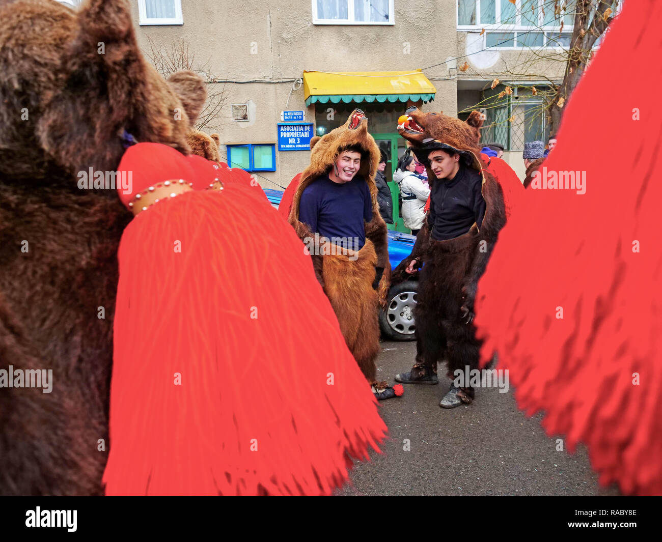 La gente si vede vestito di pelli di orso balli durante l'evento. Alla fine dell'anno e l'anno nuovo giorno í, persone in Trotus Valley in Romania abito in pelli di orso e danza per inseguire tutto il male e portare la felicità e la benedizione per la gente del villaggio. In passato, Roma persone sono state sollevando orsi selvatici ed eseguita con loro per guadagnare soldi. La gente crede che la porta è in grado di guarire le malattie e di portare la forza per loro. Dopo mantenendo la porta è stata proibita la gente ha cominciato a ballare in orso skin per mantenere il nuovo anno la tradizione. Il prezzo di una pelle può essere alta come 3000 euro. Foto Stock
