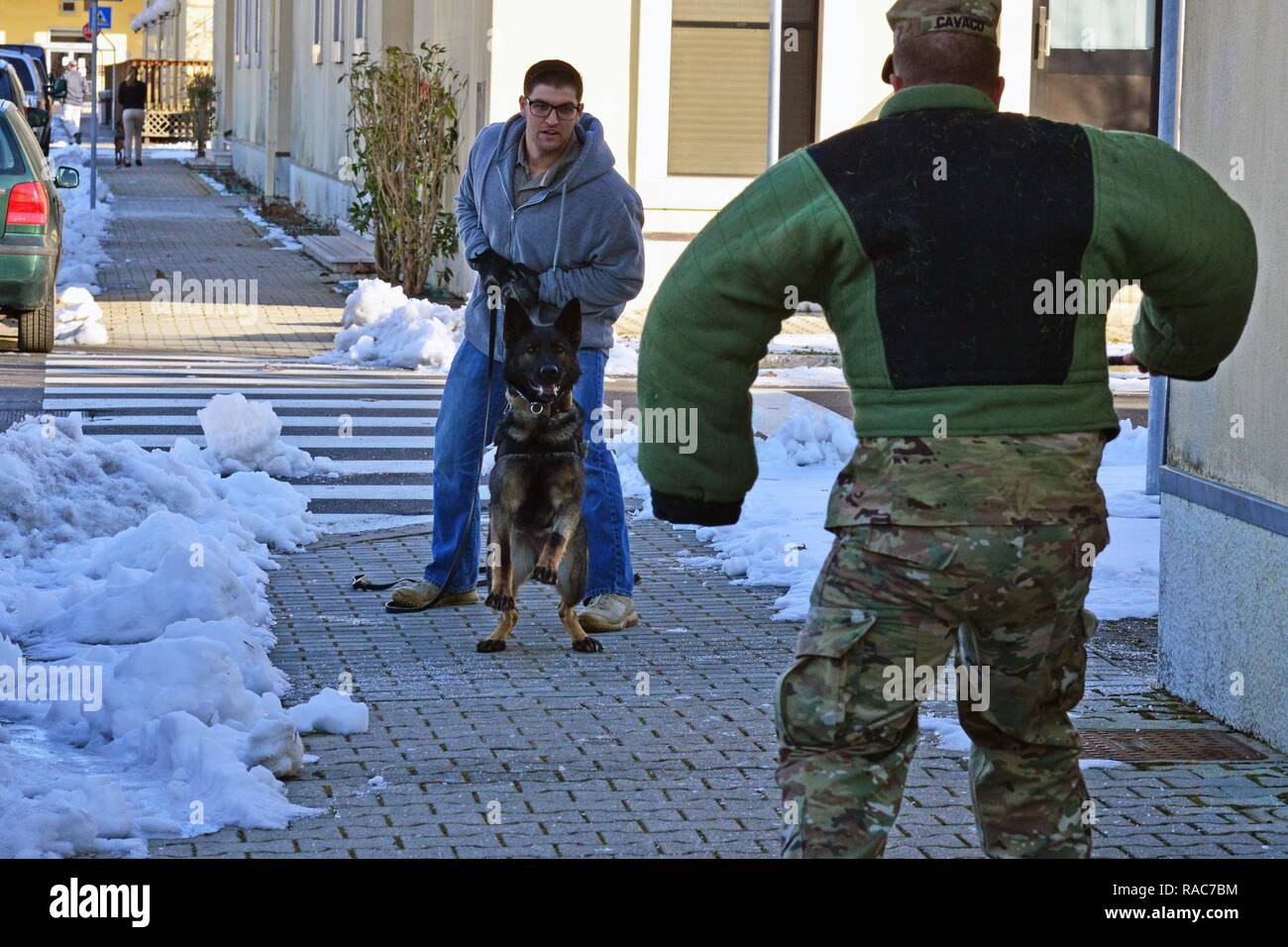 Stati Uniti Air Force militare cane lavoro Heny e il suo gestore Senior Airman Joe Bailey, assegnato al trentunesimo delle forze di sicurezza Squadron da Aviano, prepararsi alla pratica di aggressione controllata di formazione presso Caserma Ederle, Vicenza, Italia gen. 17, 2017. Militari di cane da lavoro le squadre sono utilizzati in pattuglia, farmaco e rilevamento esplosivi e specializzato funzioni di missione per il Dipartimento della difesa e di altre agenzie governative. Il militare 525th cane da lavoro di distacco, la formazione congiunta con la polizia italiana Squadra Cinofili K9 aeroporto di Venezia e la Questura di Padova e U.S. Air Force. Foto Stock