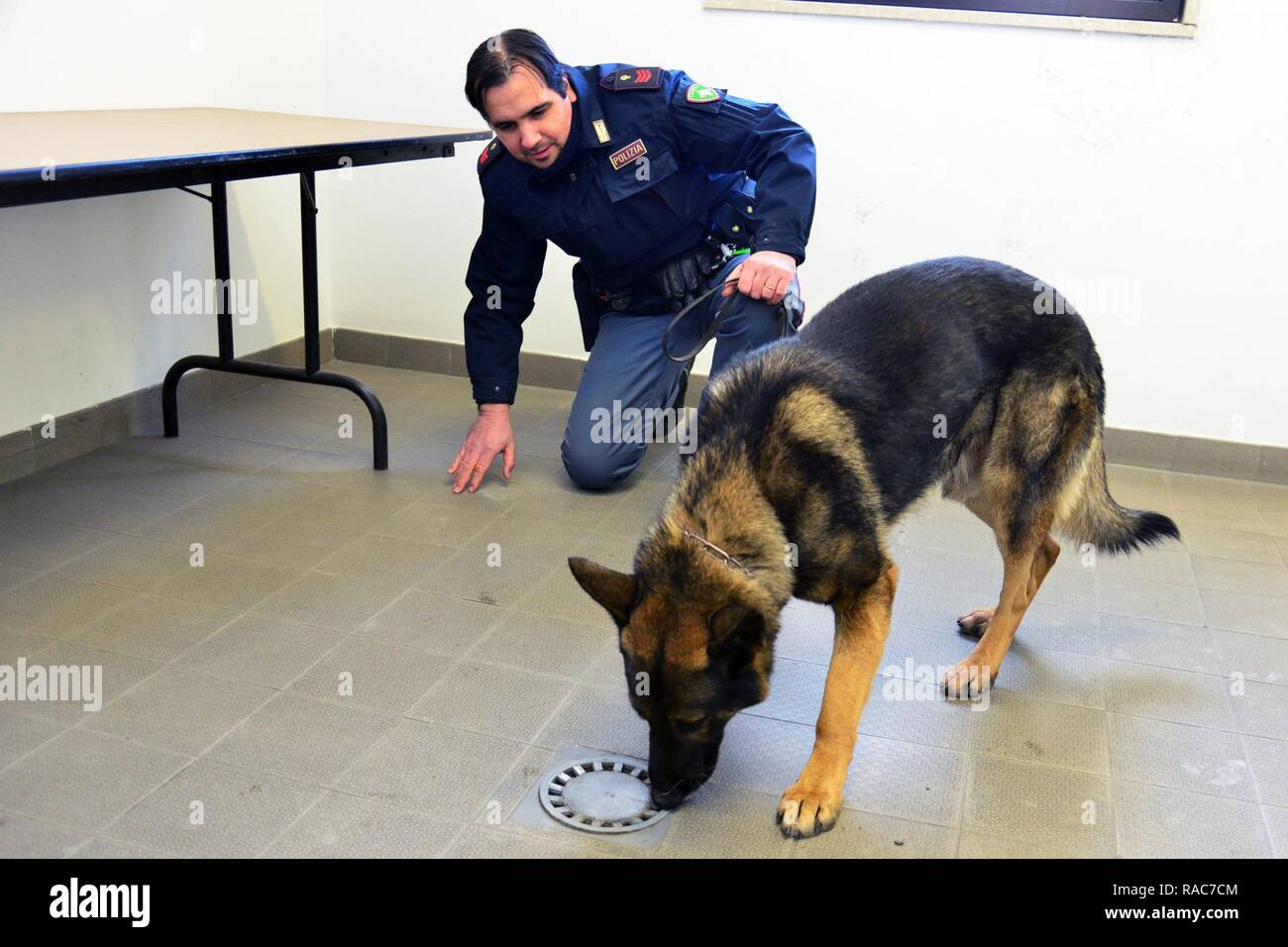 Militari Italiani cane da lavoro di Zeus e il suo gestore Vice ispettore Nicola Marcon, assegnato alla polizia italiana Squadra Cinofili K9 Questura di Padova, ispezionare le aree che possono avere il farmaco residuo alla Caserma Ederle, Vicenza, Italia, Gennaio 17, 2017. Militari di cane da lavoro le squadre sono utilizzati in pattuglia, farmaco e rilevamento esplosivi e specializzato funzioni di missione per il Dipartimento della difesa e di altre agenzie governative. Il militare 525th cane da lavoro di distacco, la formazione congiunta con la polizia italiana Squadra Cinofili K9 aeroporto di Venezia e la Questura di Padova e U.S. Air Force. Foto Stock