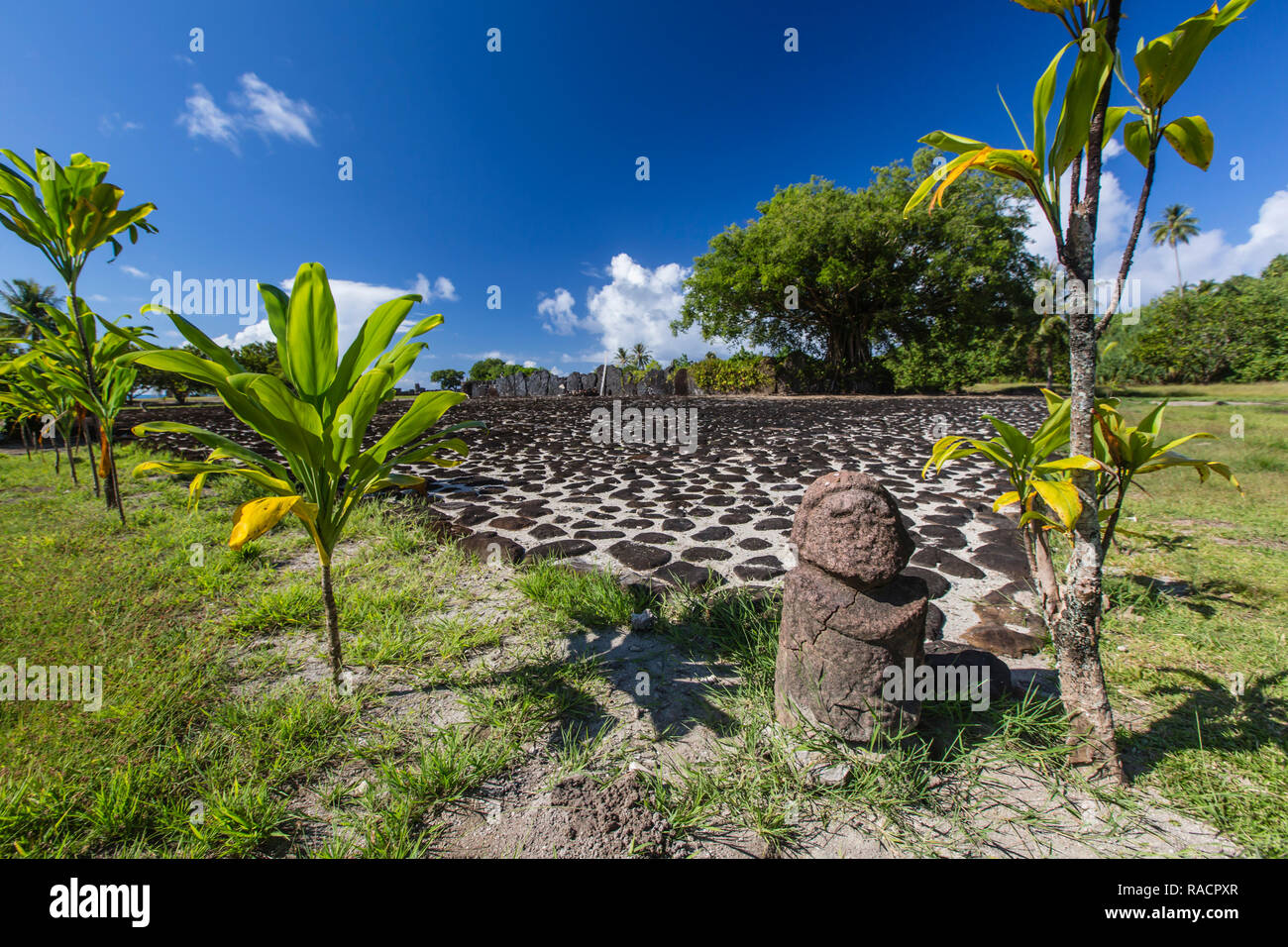 Taputapuatea marae, Sito Patrimonio Mondiale dell'UNESCO su Raiatea, Isole della Società, Polinesia francese, South Pacific Pacific Foto Stock