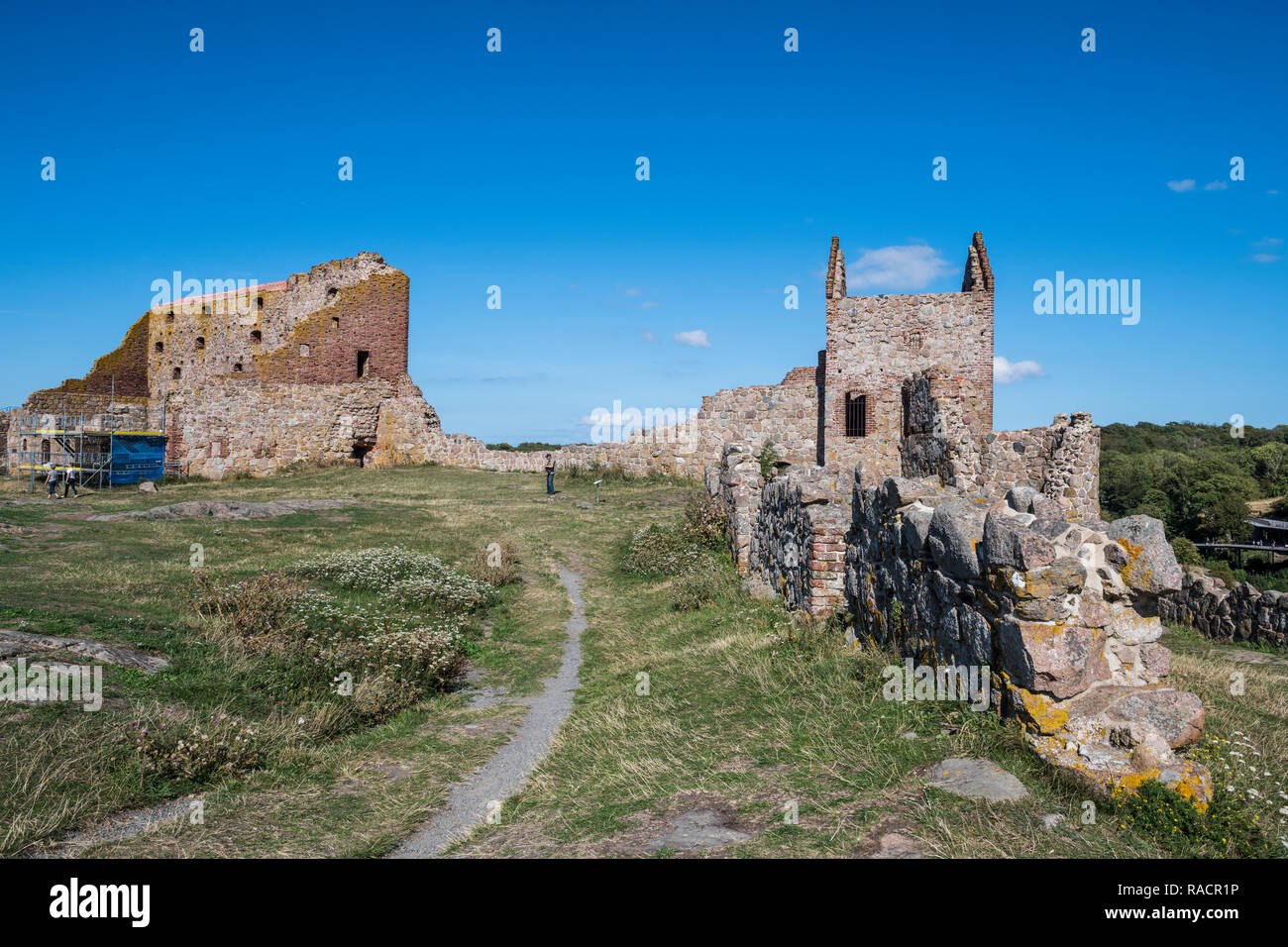 Il castello di Hammershus rovine, Bornholm, Danimarca, Scandinavia, Europa Foto Stock