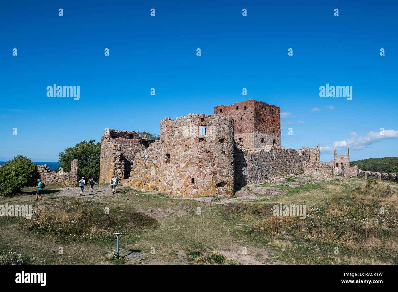 Il castello di Hammershus rovine, Bornholm, Danimarca, Scandinavia, Europa Foto Stock