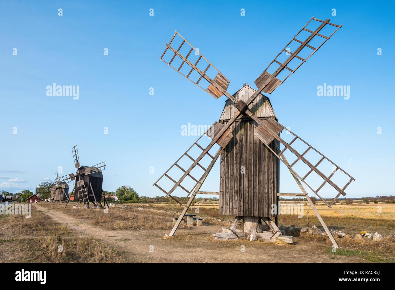 I mulini a vento di Oland, Sito Patrimonio Mondiale dell'UNESCO, Svezia, Scandinavia, Europa Foto Stock