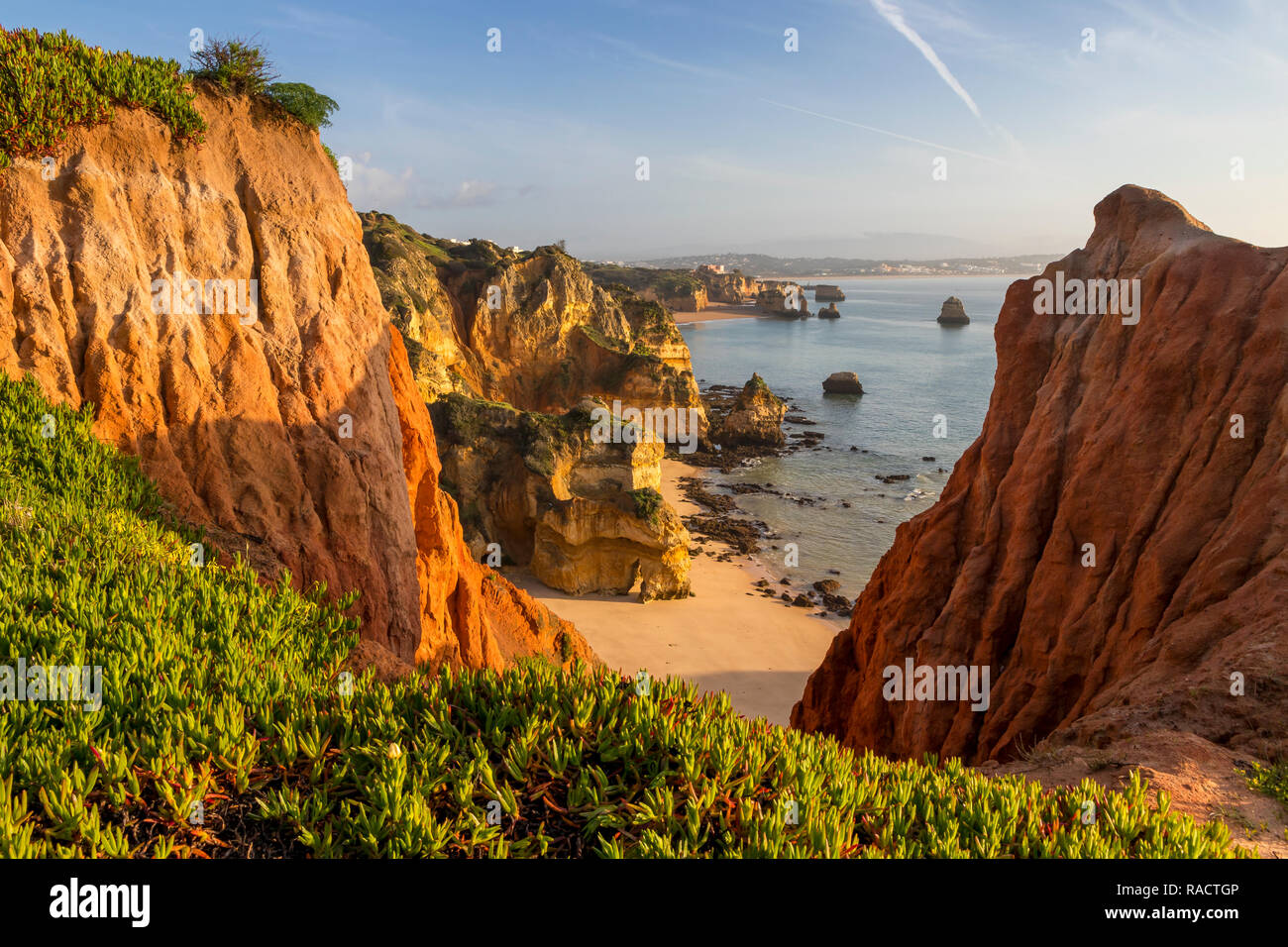 Scogliere di Camilo Beach, Lagos, Algarve, Portogallo, Europa Foto Stock