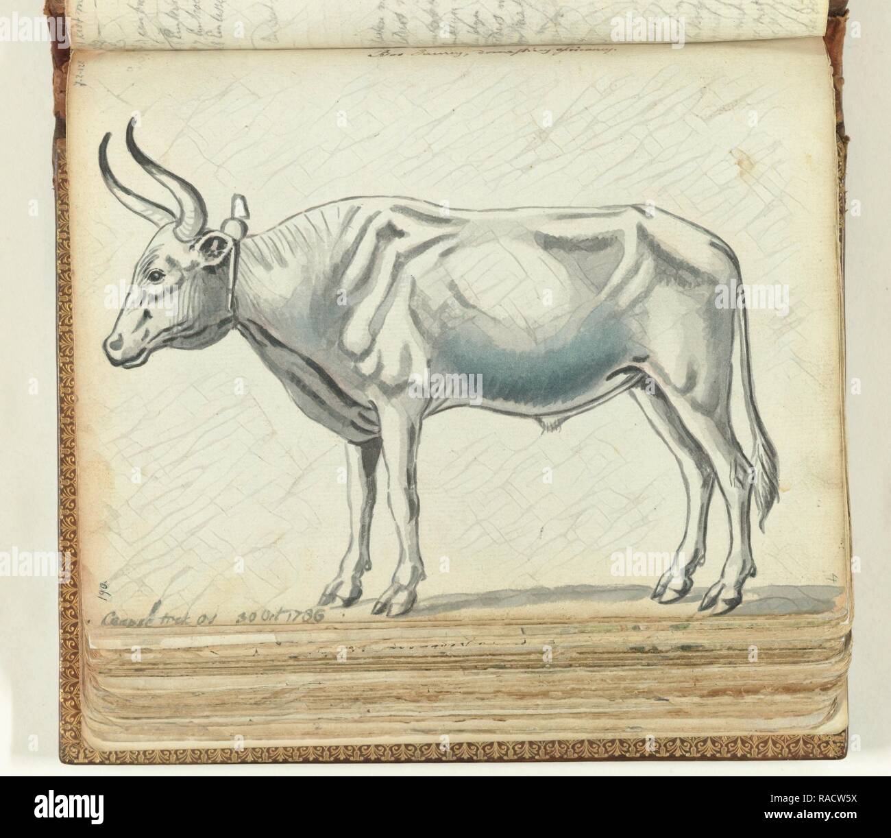 South African ox, Jan Brandes, 178. Reinventato da Gibon. Arte Classica con un tocco di moderno reinventato Foto Stock