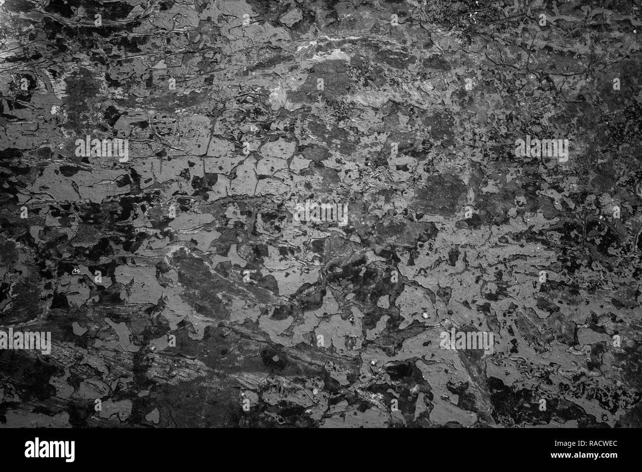 Texture di ferro arrugginito, foglio di ferro arrugginito sfondo in bianco e nero Foto Stock
