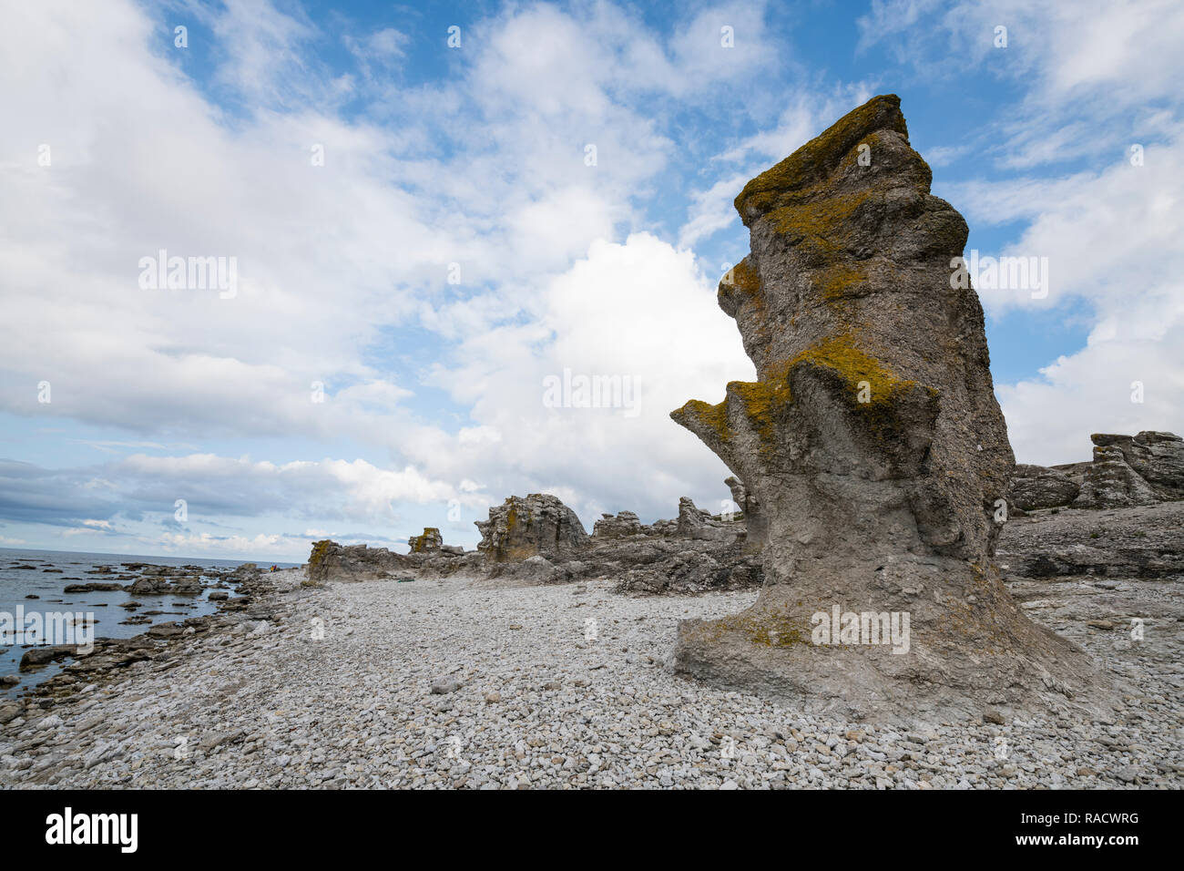 Unico mare Langhammars pile, Faro, Gotland (Svezia), Scandinavia, Europa Foto Stock