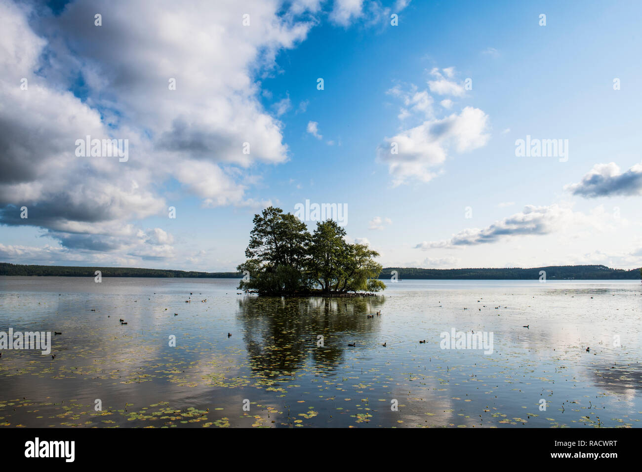 Luce della Sera sul lago Malaren, Sigtuna, la città più antica della Svezia, Scandinavia, Europa Foto Stock