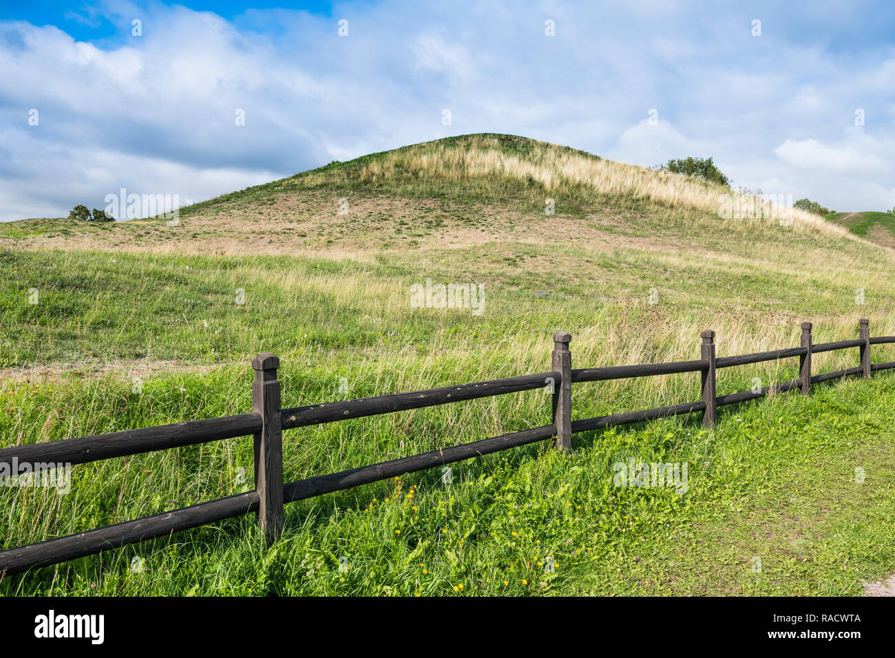 Antiche tombe vichinghe, Gamla Uppsala, Uppsala, Svezia, Scandinavia, Europa Foto Stock