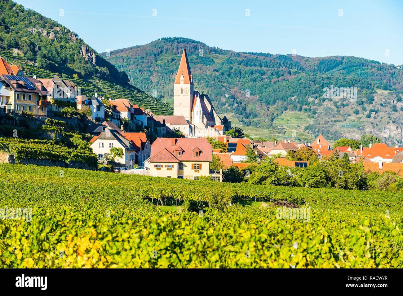 Chiesa Pfarrkirche Mariae assunta in Weissenkirchen nei vigneti sul Danubio, Wachau, sito Patrimonio Mondiale dell'UNESCO, Austria, Europa Foto Stock
