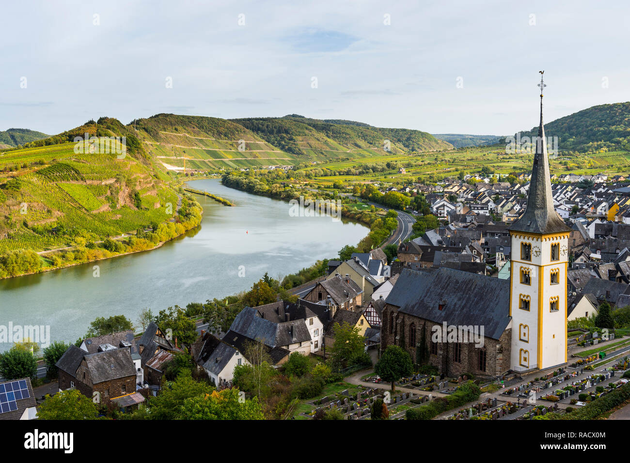 Vigneti sopra Bremm sul fiume Moselle, Renania Palatinato Germania, Europa Foto Stock