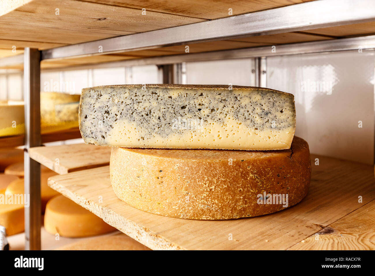 Metà forma di formaggio con carbonio sugli scaffali Foto Stock