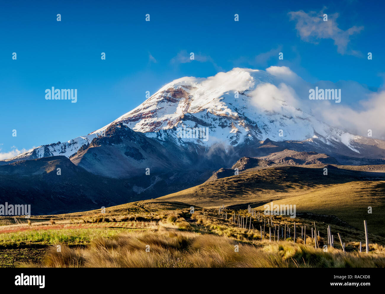 Vulcano Chimborazo, Provincia del Chimborazo, Ecuador, Sud America Foto Stock