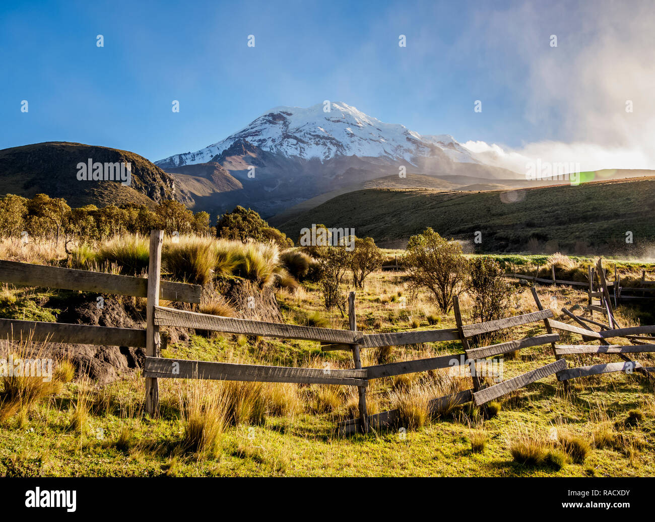Vulcano Chimborazo, Provincia del Chimborazo, Ecuador, Sud America Foto Stock