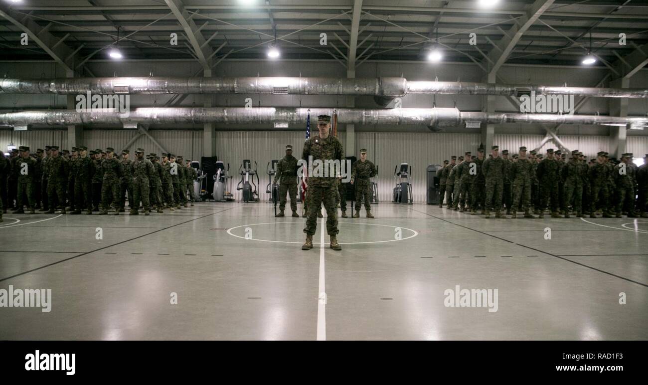 Stati Uniti Marines stand insieme all attenzione all'introduzione del trasferimento di autorità cerimonia su Mihail Kogalniceanu Air Base, Romania, Gennaio 26, 2017. BSRF 16.2 è stato attenuato mediante BSRF 17.1 dopo i sei mesi di distribuzione che includevano operazioni con 14 nazioni partner in Europa. I marines sono con BSRF 17.1 (destra) e 16.2 (sinistra). Foto Stock