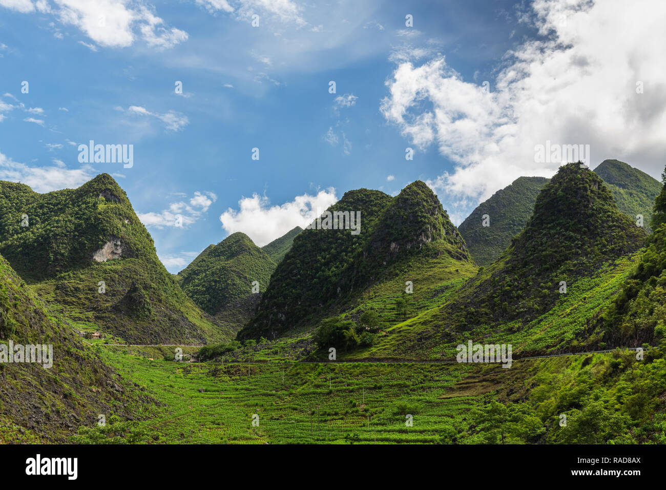 Verde brillante dei picchi di montagna, Ha Giang Loop, Ha Giang Provincia, Vietnam Asia Foto Stock