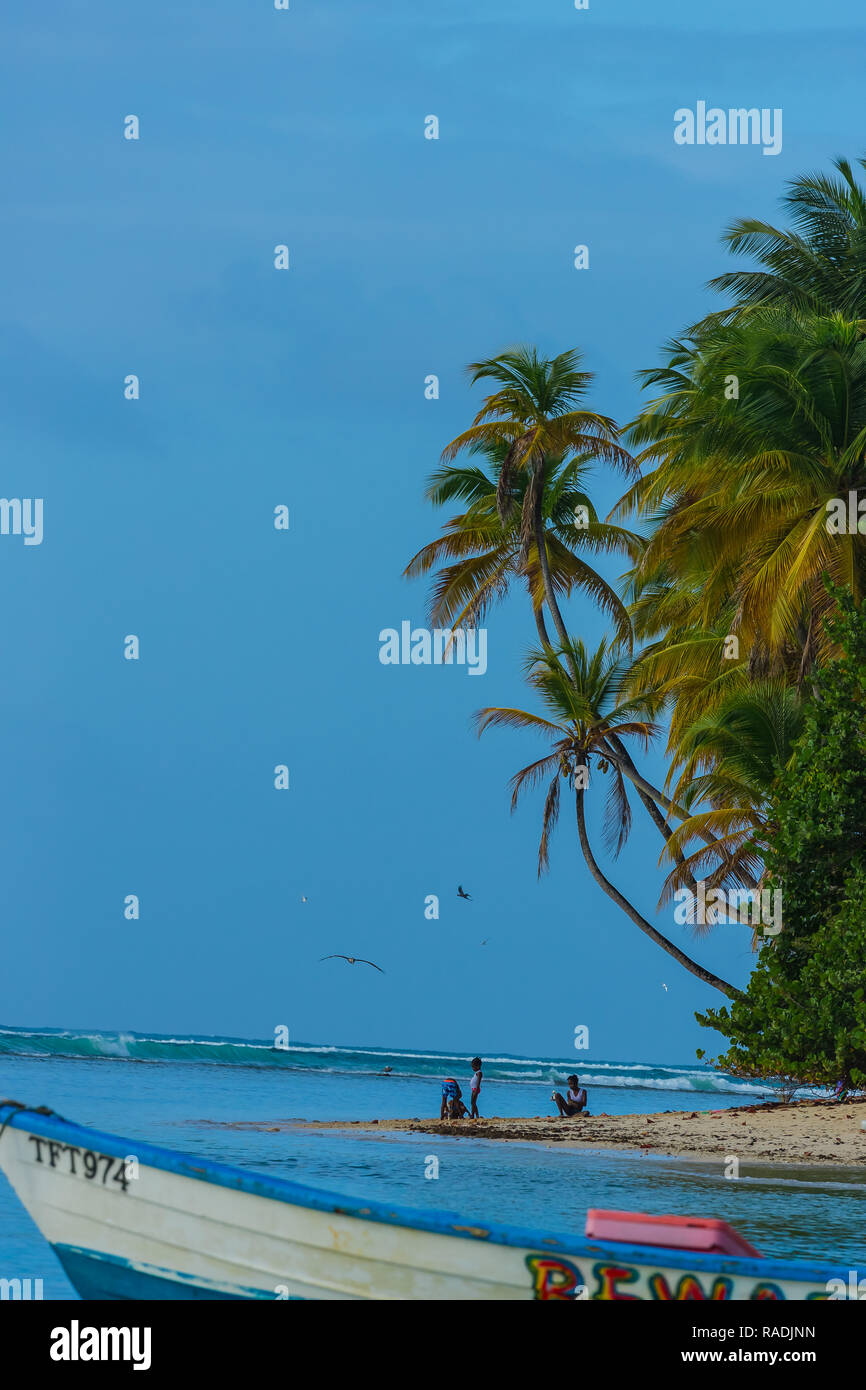 Tobago, West Indies, dei Caraibi. Ritratto di una famiglia godendo una giornata in spiaggia con il blu del cielo e mare turchese e palme ondeggianti. Ritratto Foto Stock