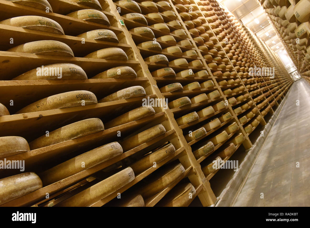 Monts & Terroirs Comte cheese a Poligny (centro-est della Francia). La cantina di maturazione.Caption locale *** Foto Stock